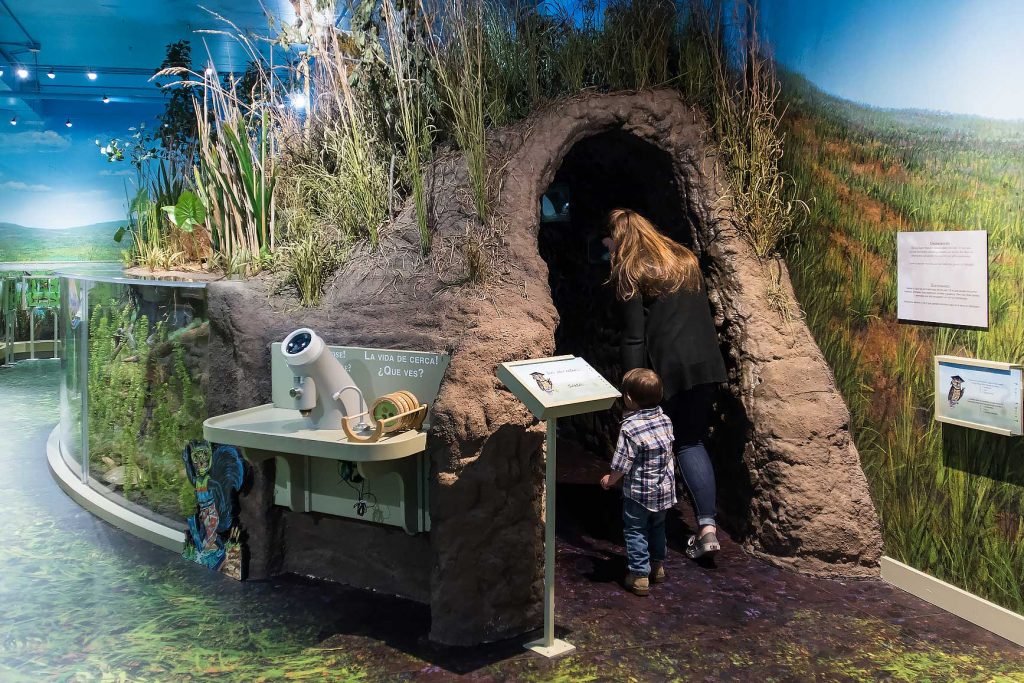 Nature Nook Hastings Museum