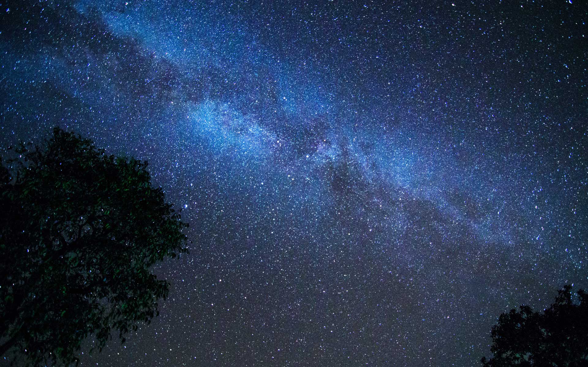 the-sky-tonight-planetarium-show-at-hastings-museum-hastings-museum