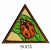 Brownie Bugs Badge