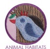 Scouts Animal Habitats Badge