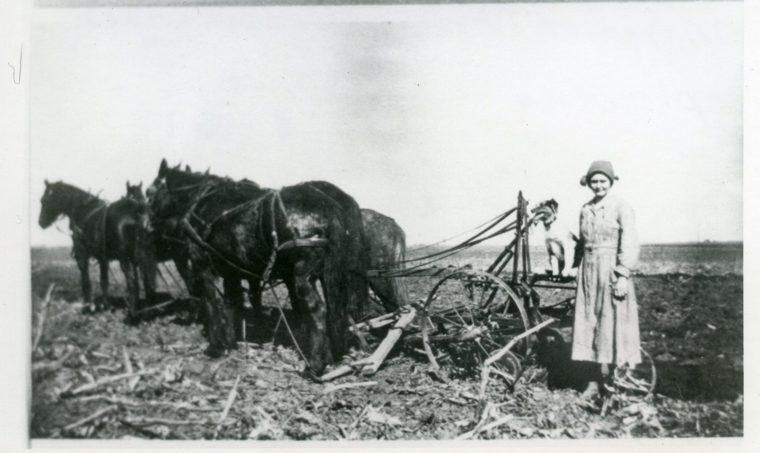 Woman, dog, plow and horses. Courtesy of Adams County Historical Society