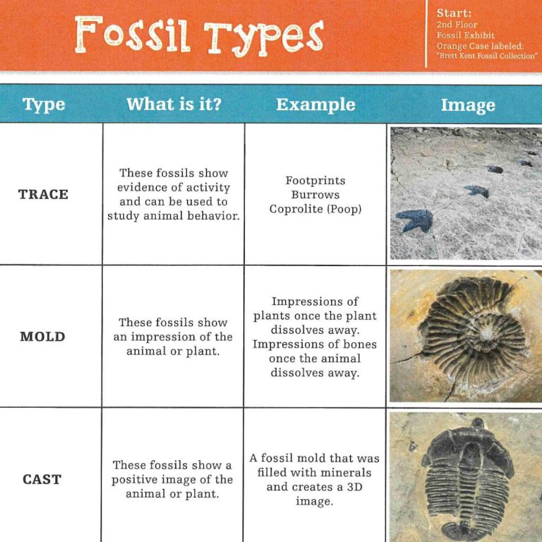 Digital Content – Downloadable Resources 