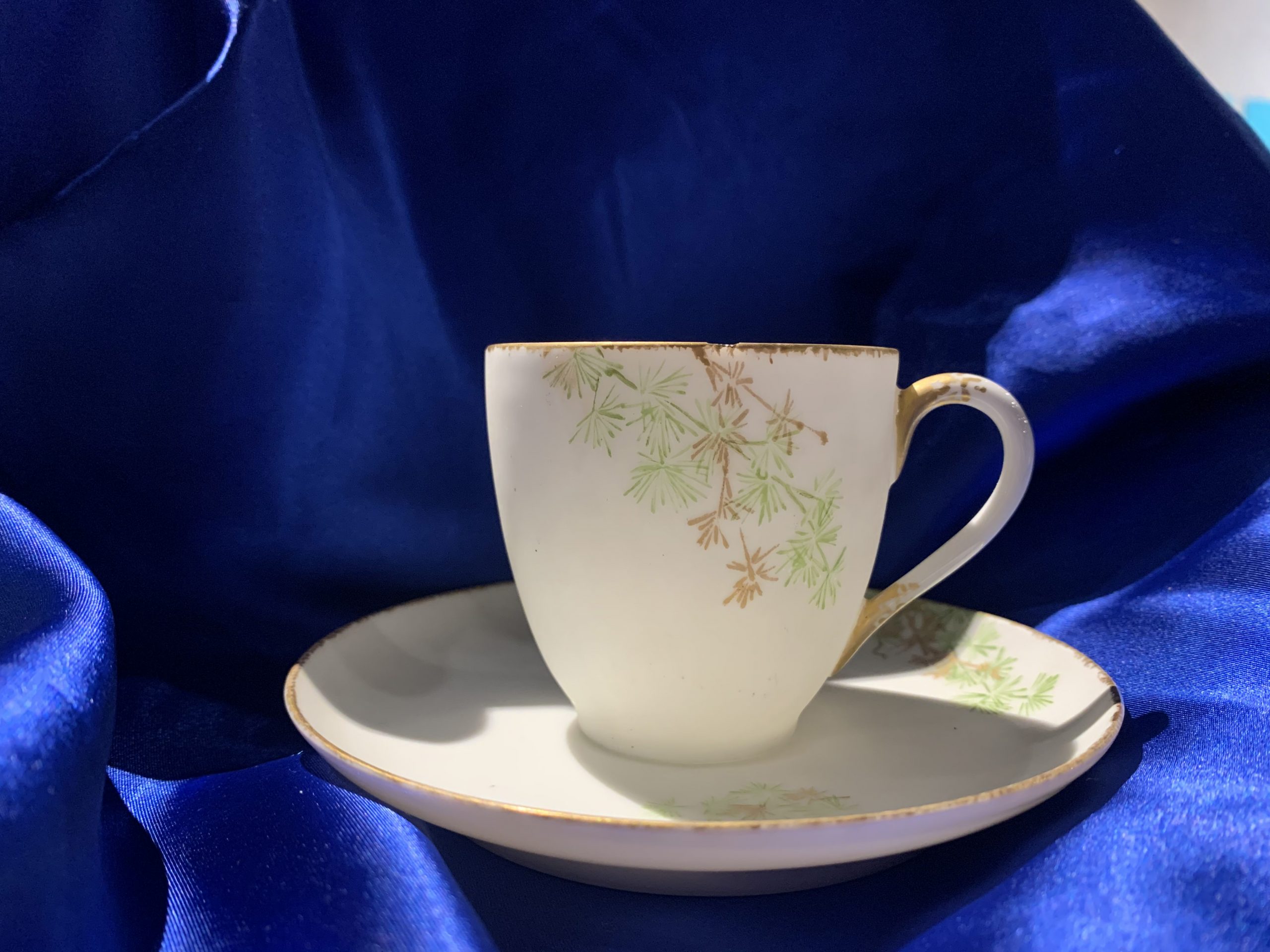 China Tea Set – Painted for the George Elliot Club by Luella Vance Phillips, a well-known China painter who lived in Hastings in the 1880s.