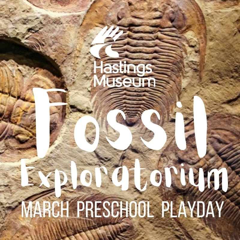 Fossil Graphic