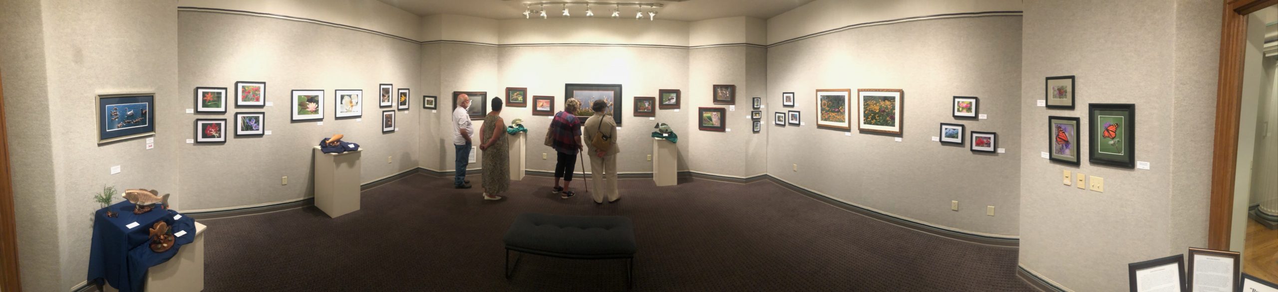 Panorama of Exhibit images and sculptures on display