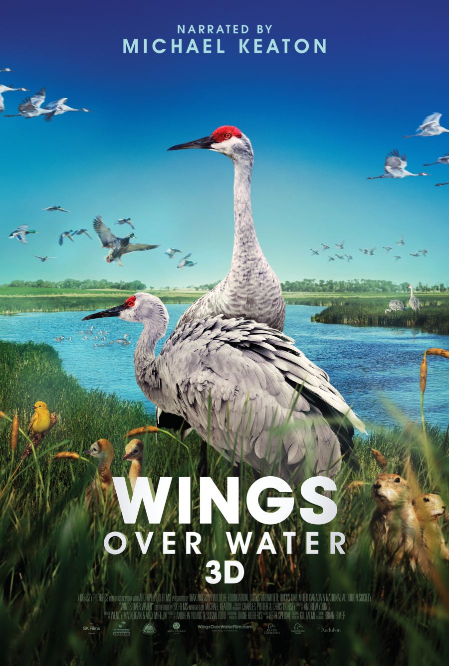photo from Wings Over Water film poster with two sandhill cranes and baby ducks