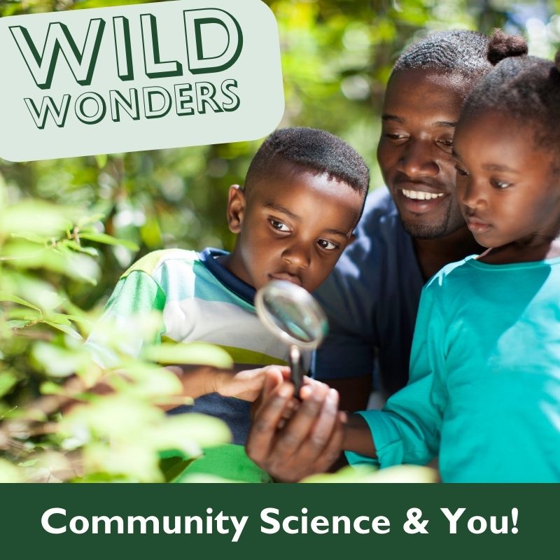 Graphic to advertise April Wild Wonders family Program at the Hastings Museum