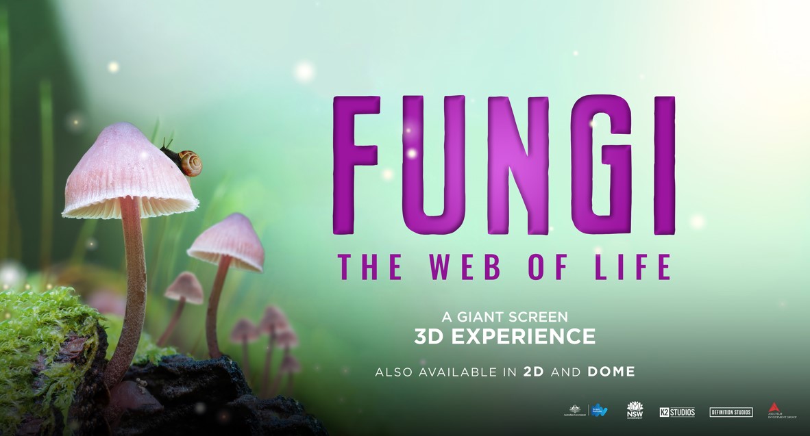 Artwork with mushrooms for the film, FUNGI: Web of Life