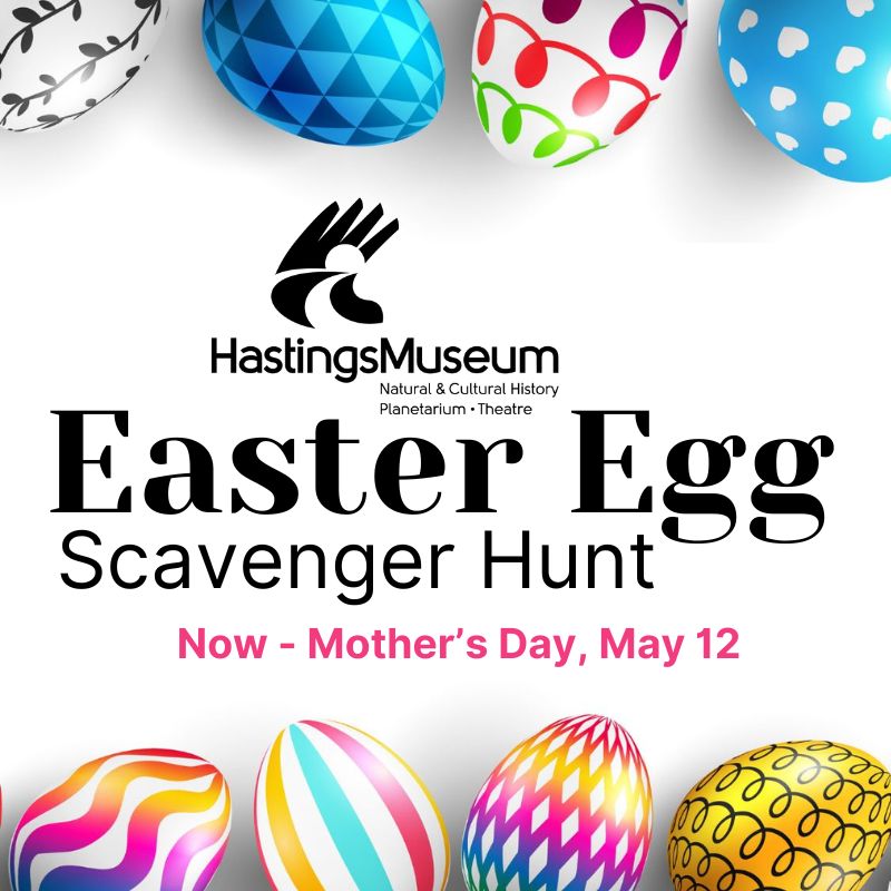 artwork to advertise Hastings Museum Easter Egg Scavenger Hunt