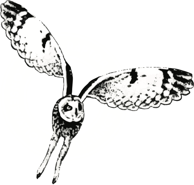 Raptor Conservation Alliance Logo